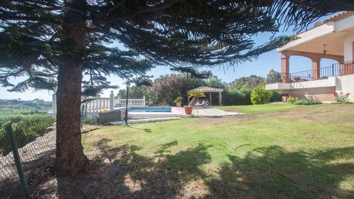 Image No.40-3 Bed Finca for sale