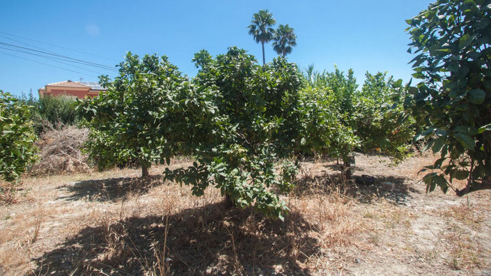 Image No.28-Villa de 4 chambres à vendre à Estepona