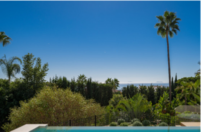 captura20de20pantalla202026-02-1120163343