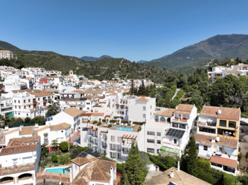 captura20de20pantalla202026-03-1620143446