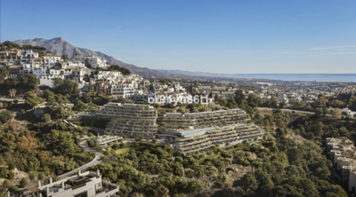 captura20de20pantalla202026-03-1620101711