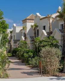 captura20de20pantalla202026-03-1620175250