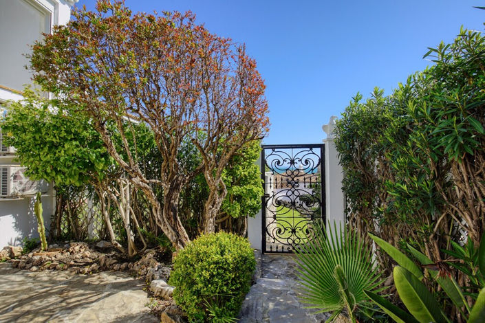 Image No.25-3 Bed Villa for sale