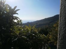Image No.1-Grange à vendre à Belmonte Calabro