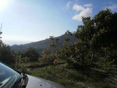 Image No.10-Barn for sale