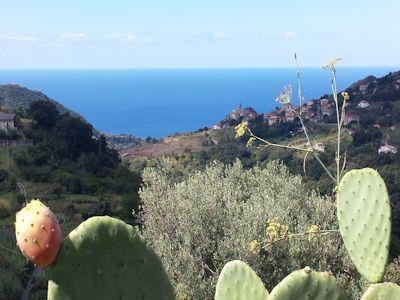 Image No.3-Barn for sale