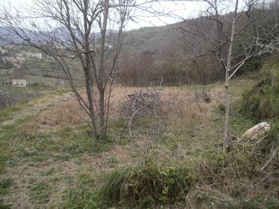 Image No.10-Grange à vendre à Belmonte Calabro