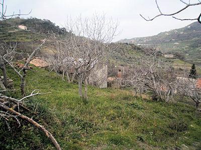 Image No.15-Grange à vendre à Belmonte Calabro
