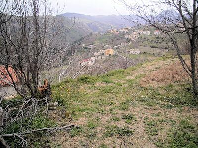 Image No.16-Grange à vendre à Belmonte Calabro