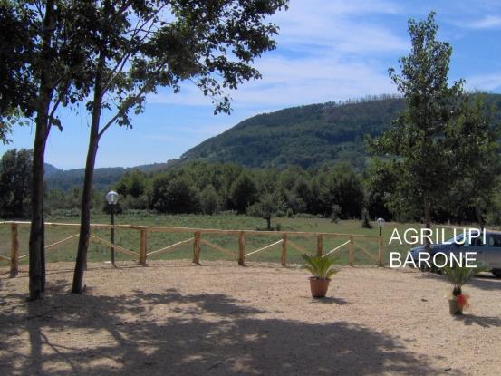 Image No.4-Restaurant de 4 chambres à vendre à Lago