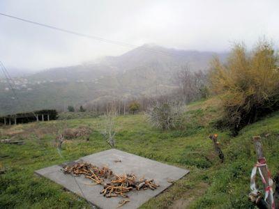 Image No.10-2 Bed House for sale