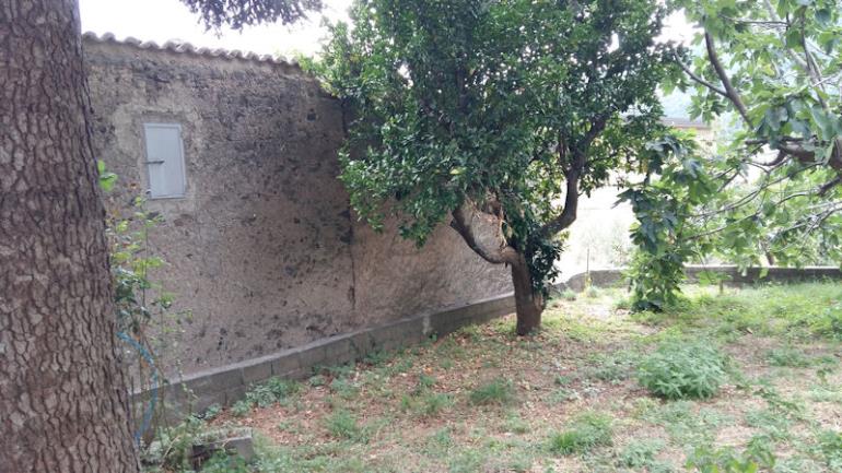 Image No.7-Ferme de 3 chambres à vendre à Lago