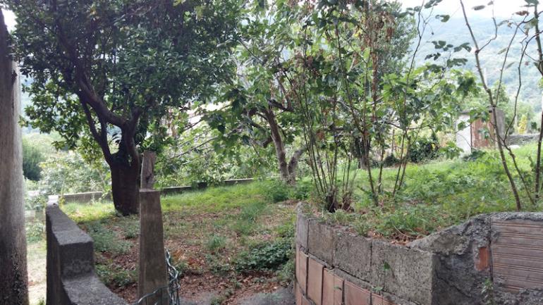 Image No.8-Ferme de 3 chambres à vendre à Lago