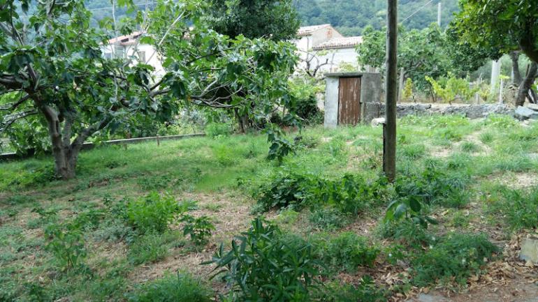 Image No.9-Ferme de 3 chambres à vendre à Lago