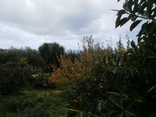 Image No.21-Maison de campagne de 3 chambres à vendre à Gizzeria