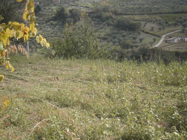 Image No.10-3 Bed Farmhouse for sale