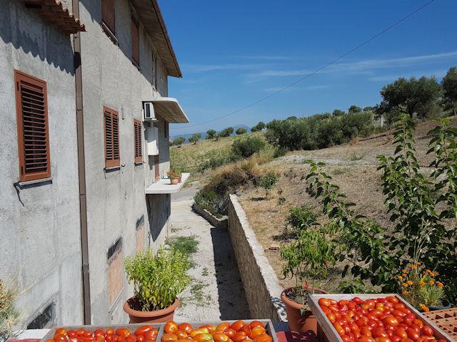 Image No.18-5 Bed House for sale