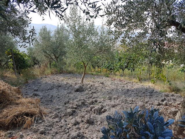 Image No.20-5 Bed House for sale