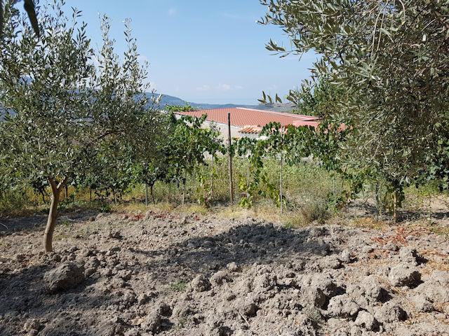 Image No.21-5 Bed House for sale