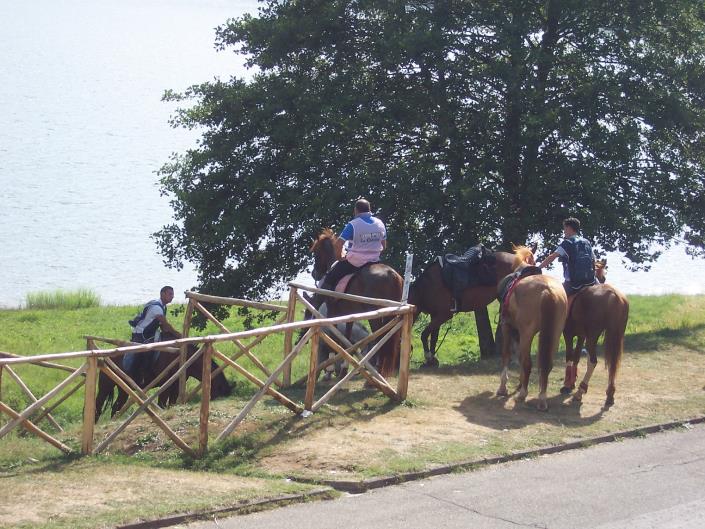 Image No.5-Appartement de 1 chambre à vendre à Camigliatello Silano