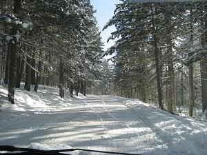 Image No.30-Appartement de 1 chambre à vendre à Camigliatello Silano