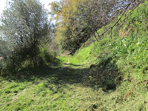 Image No.4-Villa de 3 chambres à vendre à Cetraro