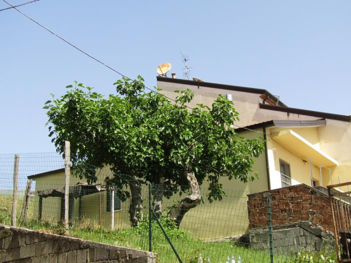 Image No.1-2 Bed Bungalow for sale