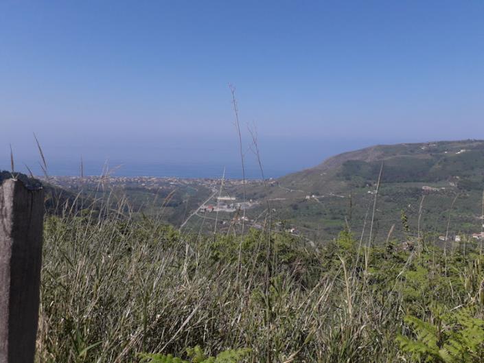 Image No.2-2 Bed Bungalow for sale