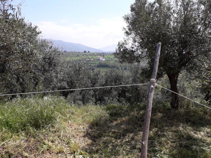 Image No.5-2 Bed Bungalow for sale