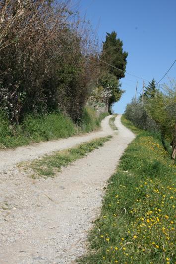 Image No.5-Maison de village de 3 chambres à vendre à Cavriglia