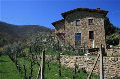 Maison de village de 3 chambres à vendre à Cavriglia