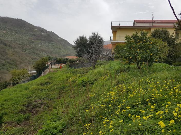 Image No.10-3 Bed Apartment for sale