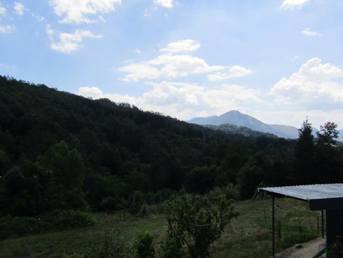 Image No.4-Bungalow de 2 chambres à vendre à Nemoli