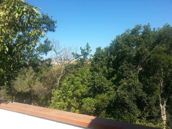 Image No.24-Villa de 4 chambres à vendre à Scalea