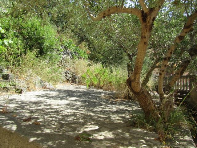 Image No.26-Appartement de 3 chambres à vendre à Santa Domenica Talao