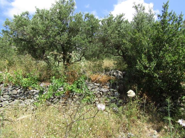 Image No.27-Appartement de 3 chambres à vendre à Santa Domenica Talao