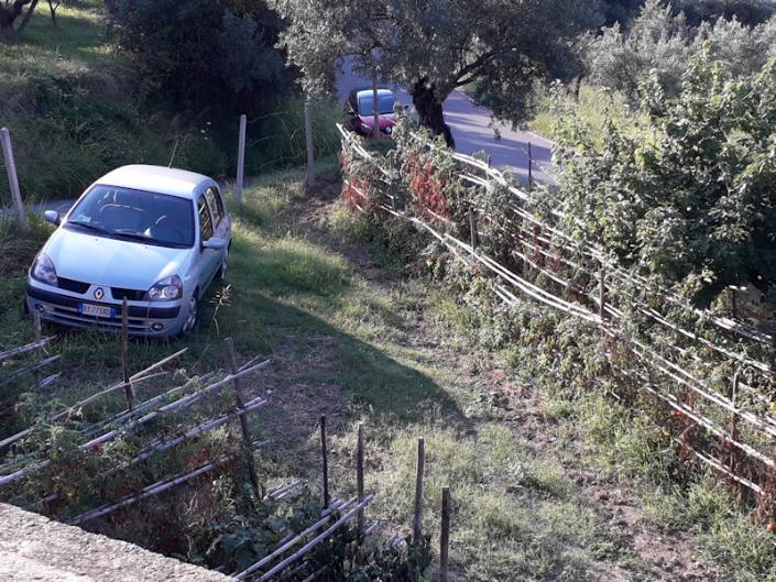 Image No.3-Villa / Détaché de 4 chambres à vendre à Cleto