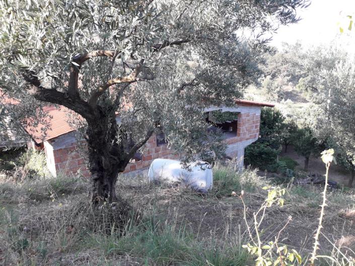 Image No.7-Villa / Détaché de 4 chambres à vendre à Cleto