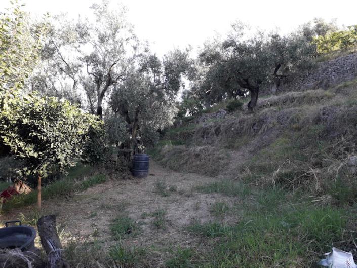 Image No.10-Villa / Détaché de 4 chambres à vendre à Cleto