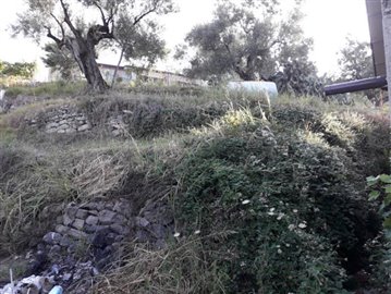 cletorustico15CBgarden2