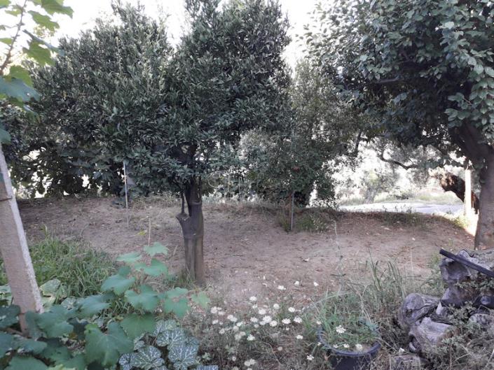 Image No.12-Villa / Détaché de 4 chambres à vendre à Cleto