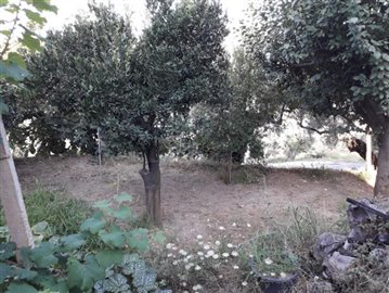 cletorustico15CBgarden3