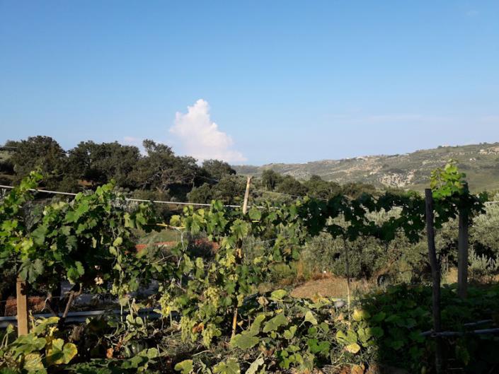 Image No.18-Villa / Détaché de 4 chambres à vendre à Cleto