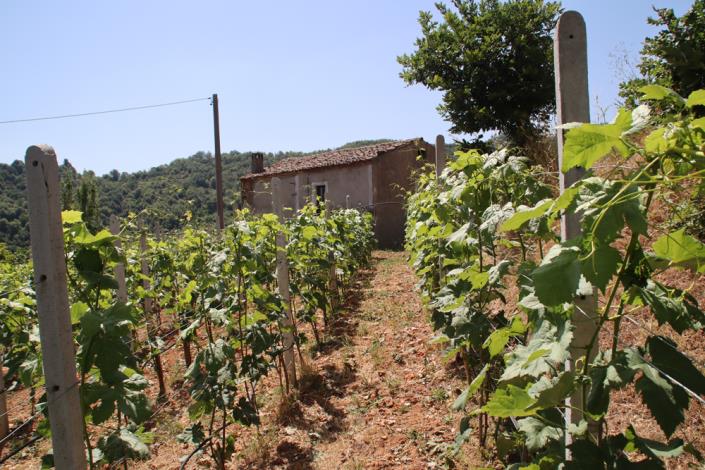 Image No.24-2 Bed Farmhouse for sale