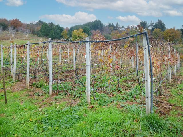 Image No.27-2 Bed Farmhouse for sale