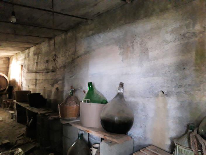 Image No.11-Ferme de 2 chambres à vendre à Serra d'Aiello