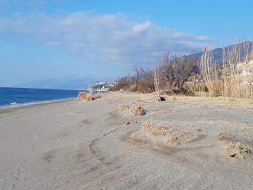 apartmentmalpertuso34LMbeach