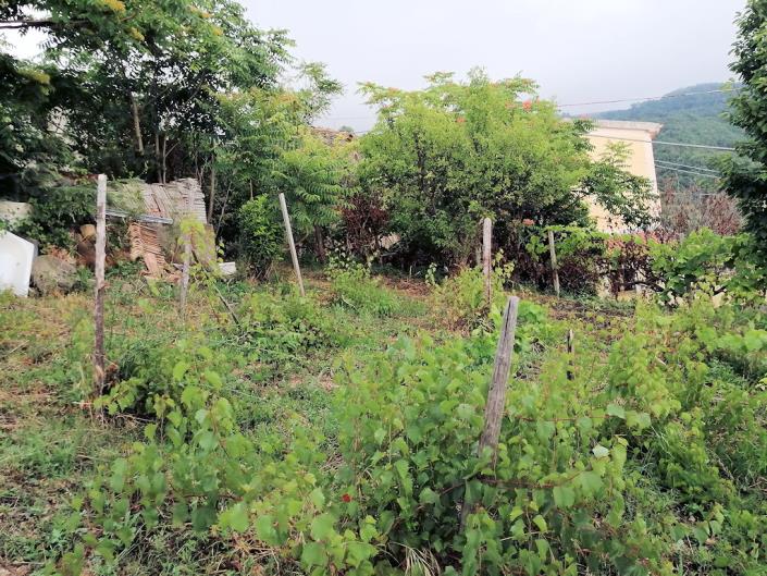 Image No.14-3 Bed Farmhouse for sale