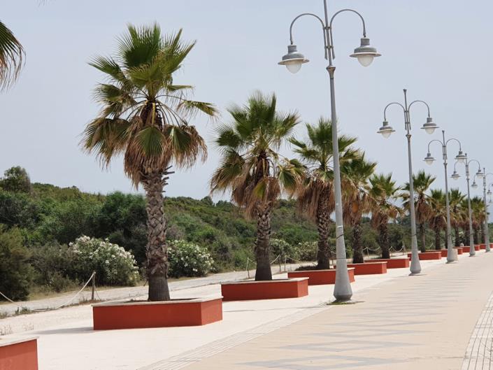 Image No.11-1 Bed Apartment for sale