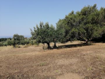 IMG_20210810_093809
